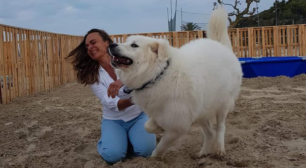 La veterinaria Giusy Branella con il bellissimo Junior abruzzese nella spiaggia per cani Unica Beach di Giulianova