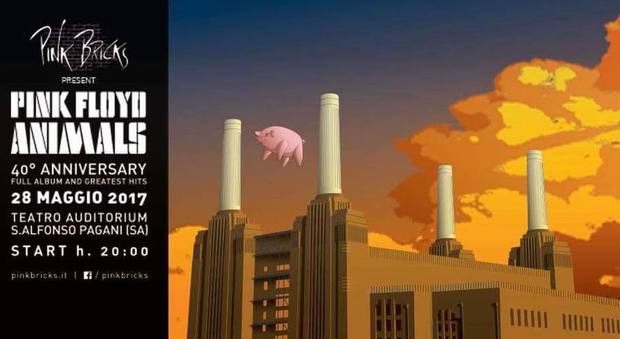 A Pagani si celebrano i 40 anni dall'uscita di «Animals» dei Pink Floyd