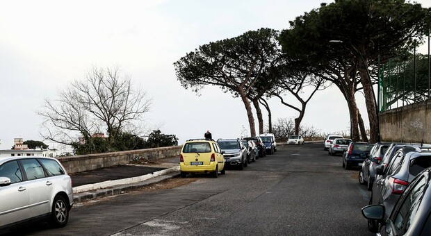 Degrado a Napoli, Posillipo in agonia: «circuito» a pezzi e settecento alberi in meno