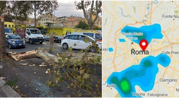 Maltempo a Roma, albero cade a Magliana: ferito un motociclista. Temporale in arrivo e allerta vento