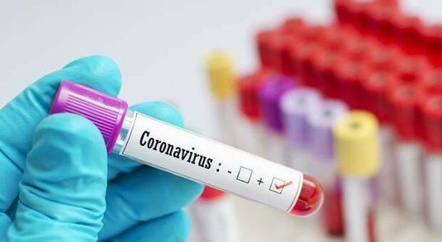 Coronavirus nel Nolano, crescono i contagi: 138 positivi attivi in 10 comuni