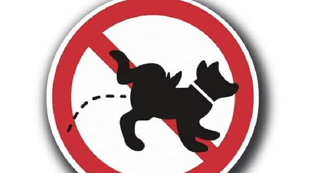 Negozi imbrattati dai cani, la rivolta dei commercianti: «Stop ai padroni maleducati»