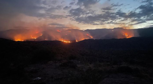 Caldo record e incendi negli Stati Uniti: in Arizona morti due vigili del fuoco