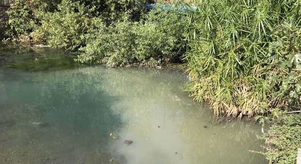 Cotton fioc, ovatta e brandelli di carta: le acque nere nel fiume Sarno