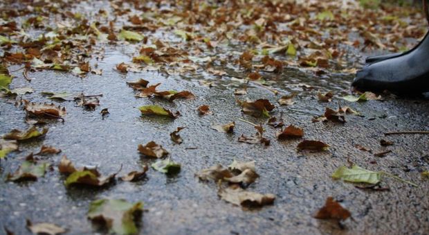 Meteo, autunno in anticipo: addio afa e sole, arrivano pioggia e venti freddi