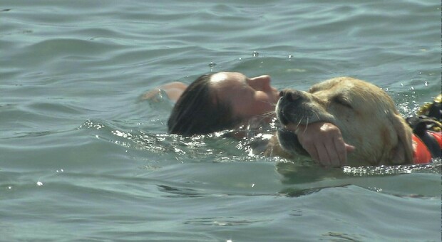 Ferragosto, sicurezza in mare: 400 cani bagnini Sics sulle spiagge italiane