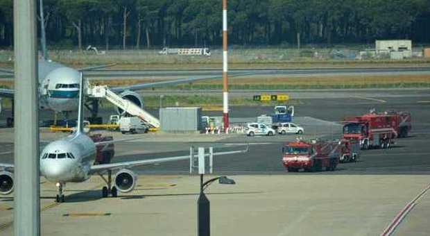 Fiumicino, gabbiano contro aereo: atterraggio d'emergenza per Alitalia