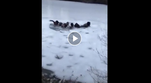 Ragazzi si fanno un selfie sul lago ghiacciato di Central Park, poi però... -Guarda