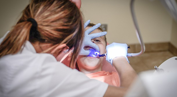 Dentista lascia 5 milioni in eredità ad associazioni benefiche: «Esclusi i parenti, non li perdono»