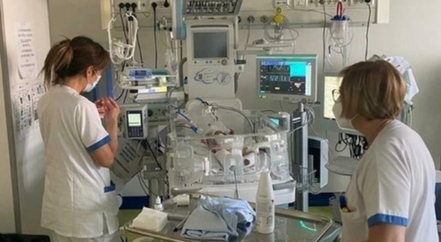 Prato, donna incinta mangia crostacei crudi: il bimbo nasce con una grave e rarissima infezione
