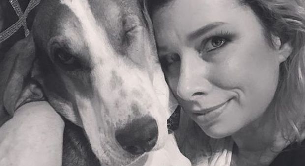 Scopre di avere un cancro grazie alla sua cagnolina: "Mi ha salvato la vita con il suo naso"