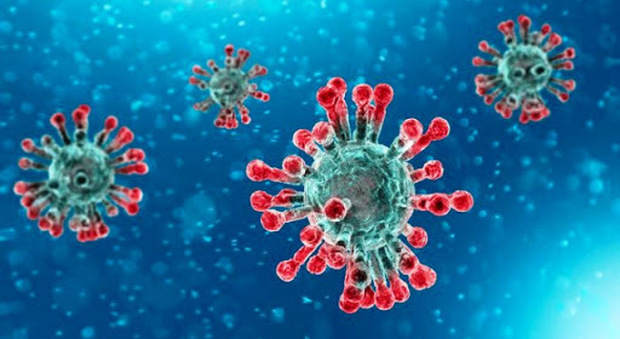 Coronavirus, è corsa al vaccino: la sfida tra gli Stati vale miliardi di euro