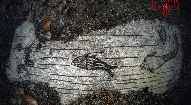 Baia Sommersa, scoperto un nuovo mosaico del III secolo a Punta Epitaffio