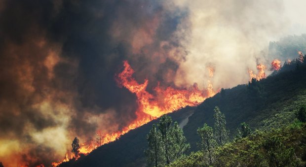 Portogallo, nuovo grande incendio a 20km da Pedrogao