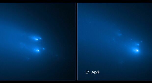 “Attacco” alla Terra: i segreti delle Tauridi, nate dall'esplosione di una cometa migliaia di anni fa