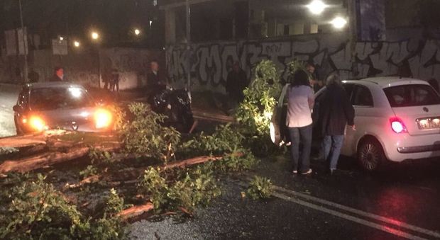 Roma, caos maltempo: allagamenti e alberi caduti