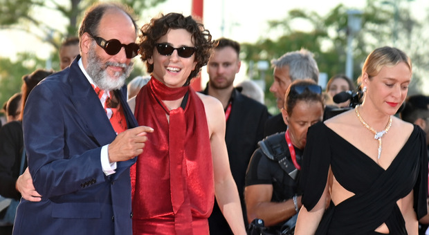 Festival del cinema di Venezia, Timothée Chalamet superstar con Luca Guadagnino