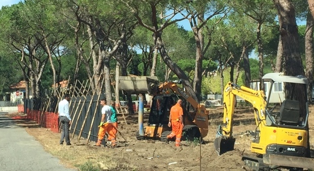 Roma, assunti giardinieri invalidi: «Uno su 3 non può salire sulla gru»