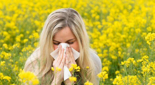 Allergie, rischio tutto l'anno per il cambio del clima