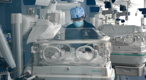 Trapianto di utero, il miracolo di Alessandra: è la prima bambina nata in Italia