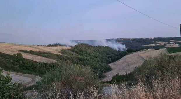 Incendio in un campo a Corbara di Orvieto. Vigili del Fuoco al lavoro da ore, sospesa e riattivata l'energia elettrica