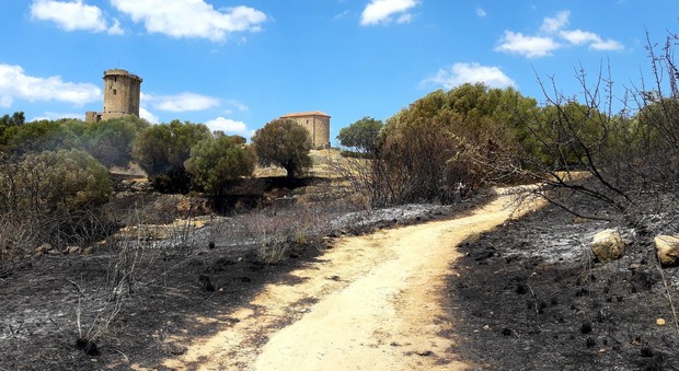Velia, chiuso il Parco Archeologico: dopo l'incendio necessarie verifiche strutturali
