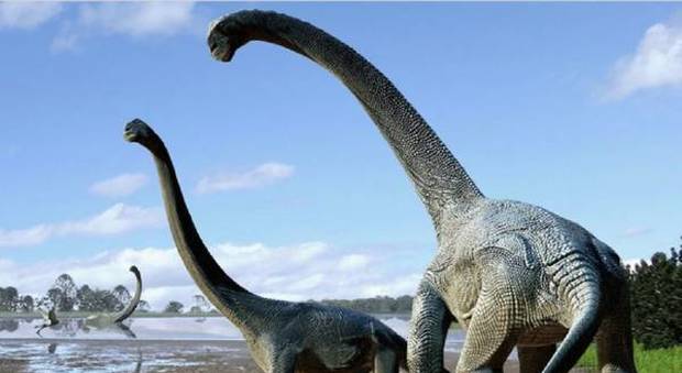 Dinosauri, scoperta nuova specie: era alta 6 metri