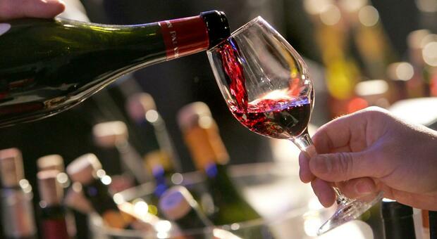 La ricerca ha il merito di fornire un quadro chiaro e organico sugli effetti positivi del vino sulla salute umana