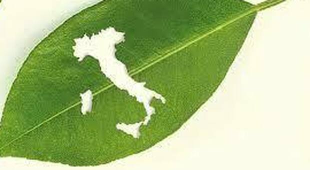 Il post covid e la ripartenza, in Italia crescono le eccellenze e la sostenibilità nelle aziende