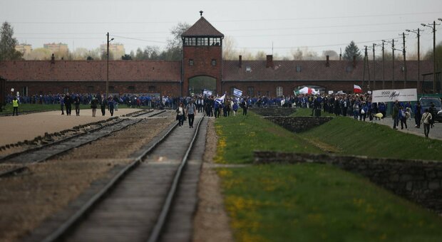 Forlì, aveva indossato maglietta con logo Auschwitzland: assolta. Il tribunale: «Non incita all'odio»