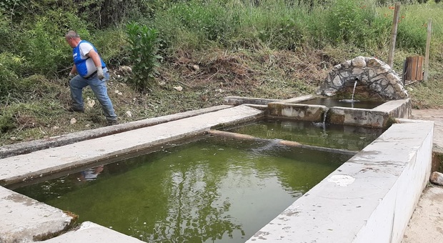 Serrone, ripulita dai volontari di Fare Verde la sorgente Fontana Livio