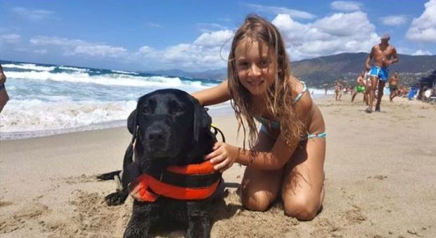 Caterina, 8 anni, salvata da Lux, eroico cane bagnino. "Un'onda l'aveva strappata al papà"