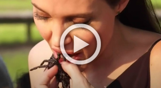 Angelina Jolie mangia ragni e insetti con i figli -Guarda