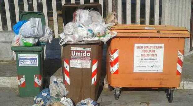 San Benedetto, cassonetti non svuotati "La raccolta dei rifiuti è inadeguata"