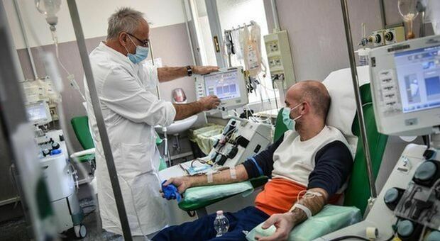 Covid, la terapia con il plasma all'ospedale "Spaziani" di Frosinone non decolla: ecco perché
