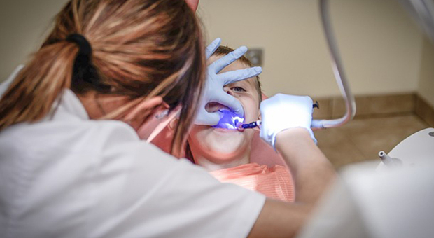 Vaccinazione medici libero professionisti, in provincia adesioni al 19% ma è boom tra i dentisti