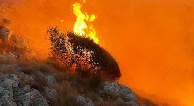 Inferno a Porto Badisco: inceneriti 45 ettari di macchia mediterranea. Vigili del fuoco al lavoro per la bonifica