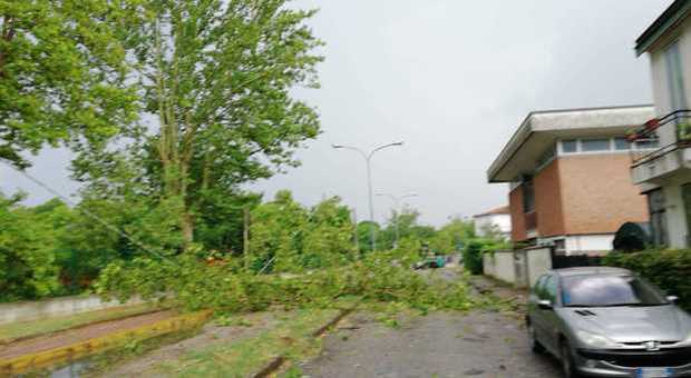 Grandine, vento e pioggia: ancora rami spezzati e alberi crollati in centro