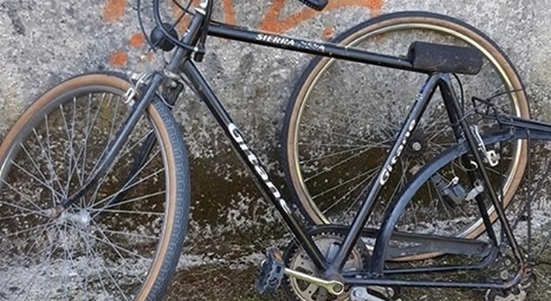 Senigallia, biciclette da corsa rubate o fatte a pezzi: è caccia alla banda