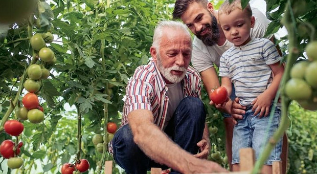 Agricoltura, al via la campagna social per sostenerla: 12 ambasciatori di ortofrutta sostenibile