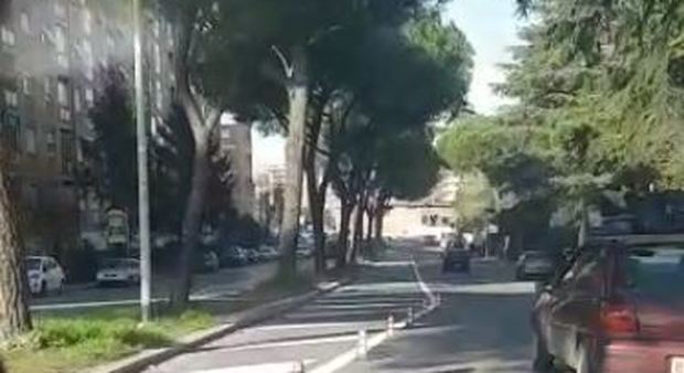 Roma, Viale dei Romanisti, contro le radici arrivano i birilli: e la strada si restringe