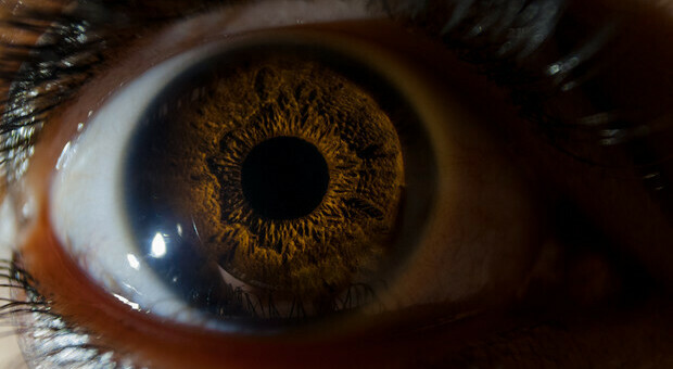 Long Covid, può essere rilevato dagli occhi: danno a nervi che può essere osservato nella cornea