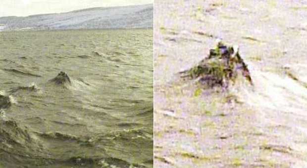 Il mostro di Loch Ness, l'ultimo avvistamento ​di Nessie. Esiste davvero?