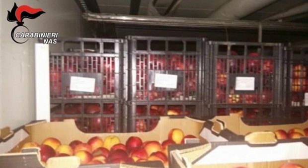 Truffa a Ue, vendono 13mila tonnellate di alimenti destinati ai poveri: 12 arresti