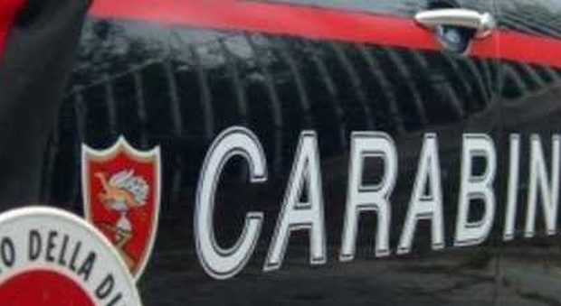 Caserta, beccato dai carabinieri mentre innaffia 50 piante di marijuana: arrestato