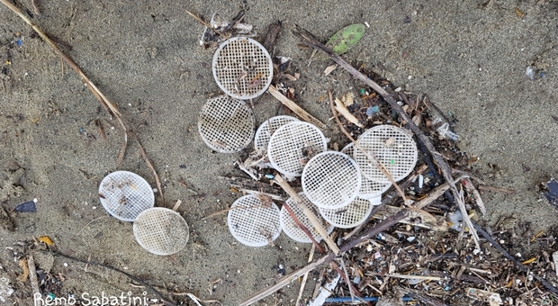 I dischetti di plastica che, nel marzo scorso, avevano invaso le coste del Tirreno. (foto Remo Sabatini)