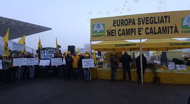 Coldiretti, in migliaia coi trattori alla Fieragricola di Verona: "Campi in emergenza"