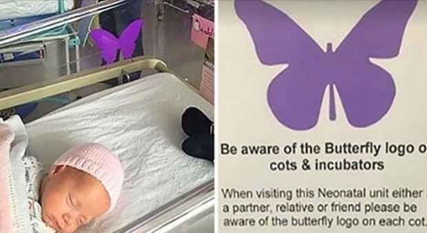 Farfalle viola su culle e incubatrici in terapia intensiva. Se ne vedi una, ecco il motivo