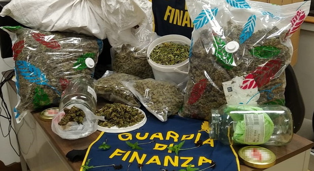 Perugia, blitz in un ristorante e perquisizioni in due abitazioni: sequestrati dalla Guardia di finanza 6 chilogrammi di marijuana