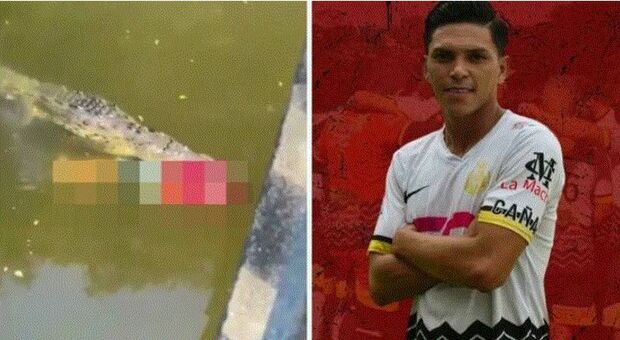Il calciatore Ortiz divorato da un coccodrillo in Costa Rica: la polizia spara all'animale per recuperare il cadavere